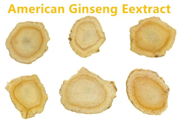 American Ginseng Extract.png